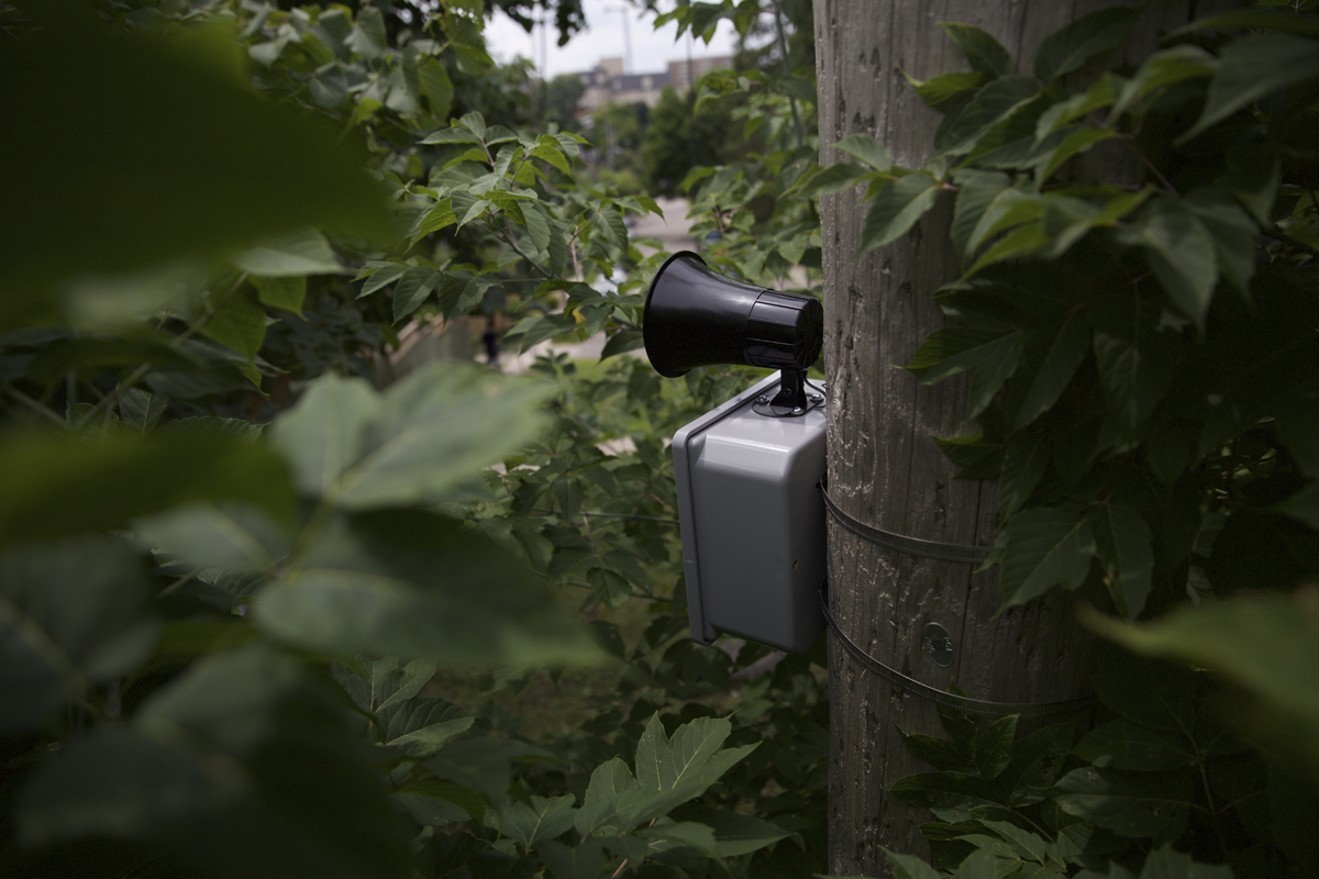 04 Palmer & Queen Street - Installation photo 6 - Sounding the City 003 - Guelph 2018